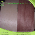 Commercial Plywood 3′x6′ 3′x7′ 3′x8′ Size Bintangor Door Skin with Cheaper Price